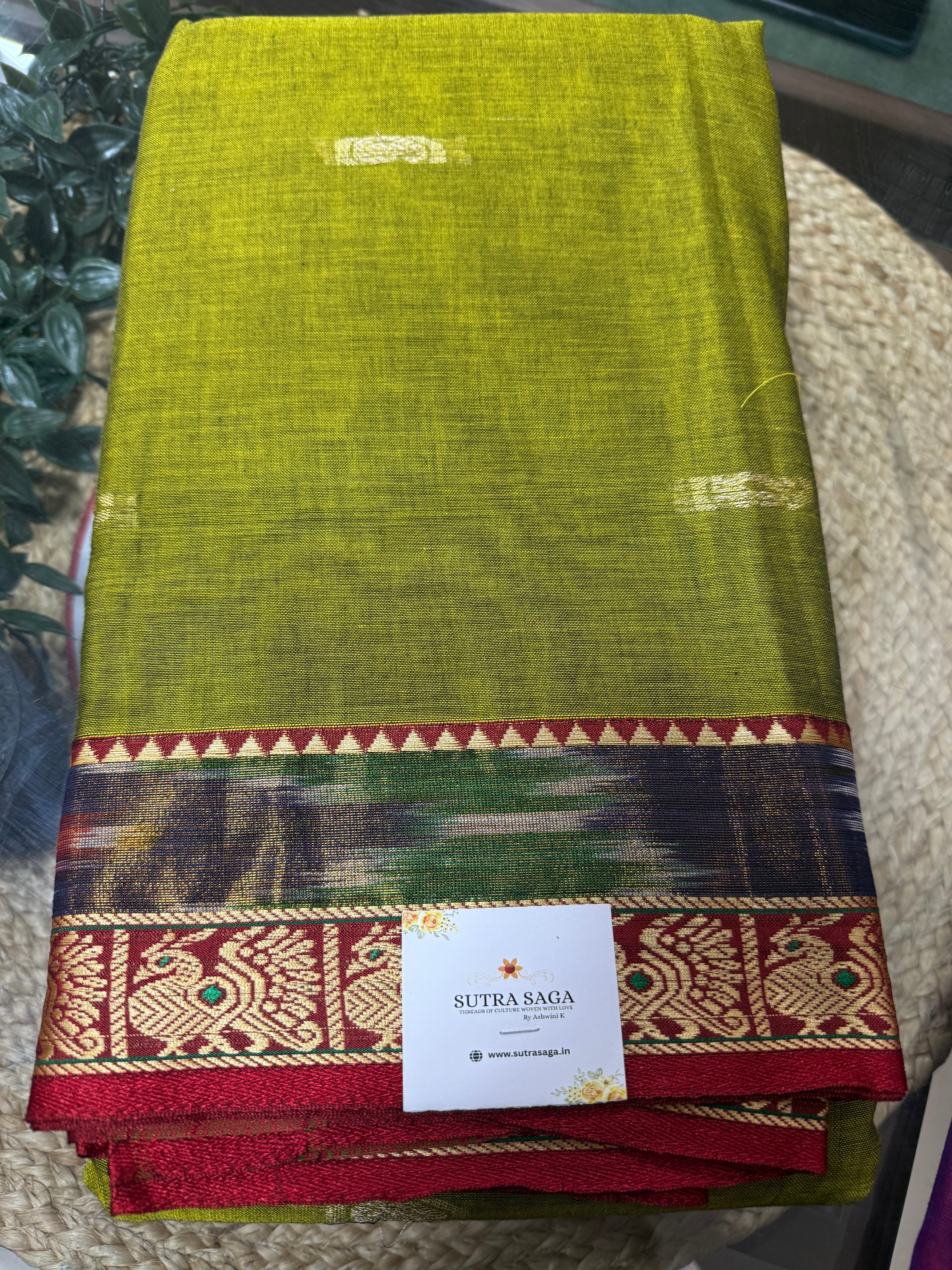 Narayanpeth Ikat Border Saree