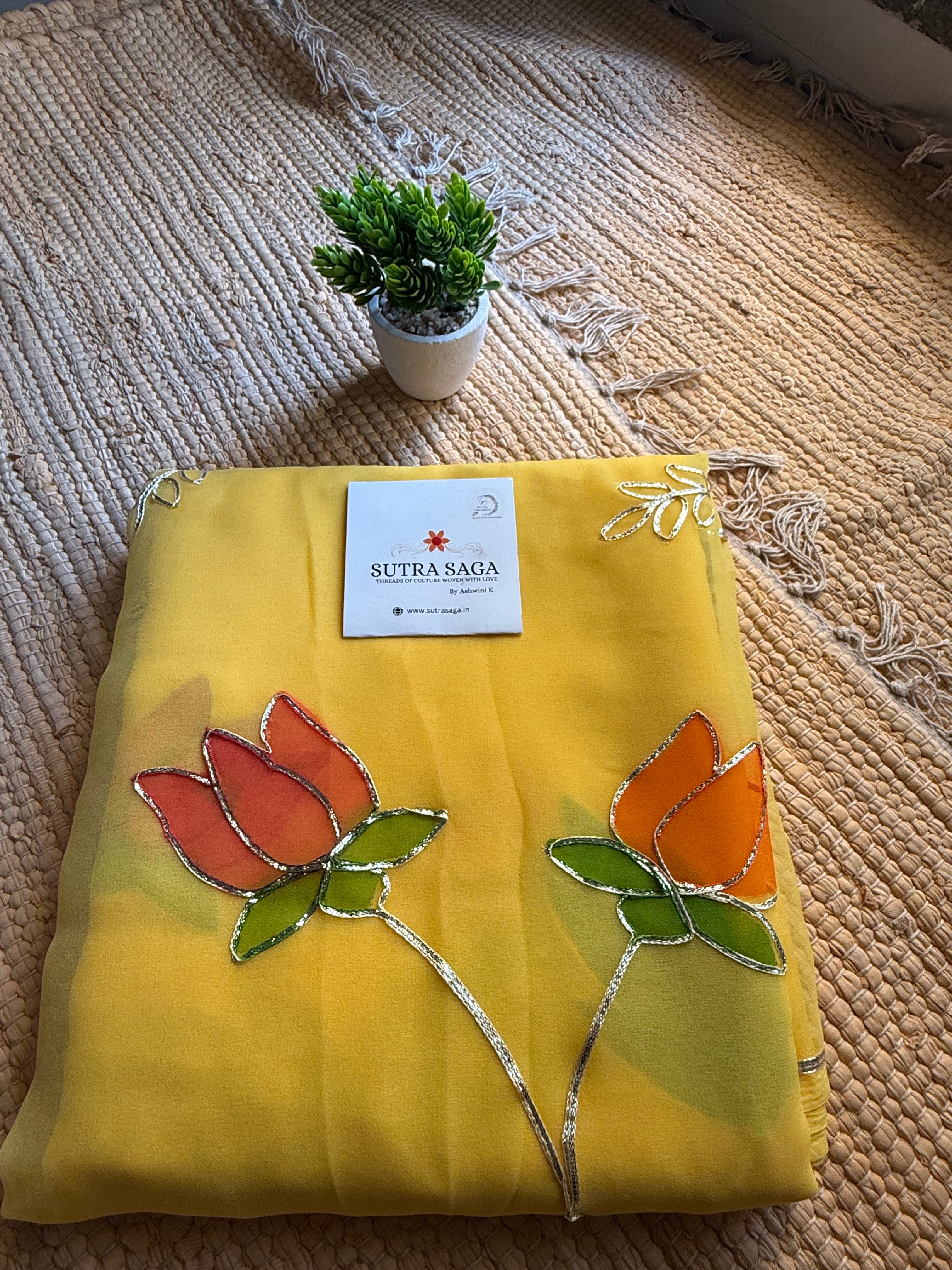 Mohini - Handpainted and embroidery Chiffon Saree